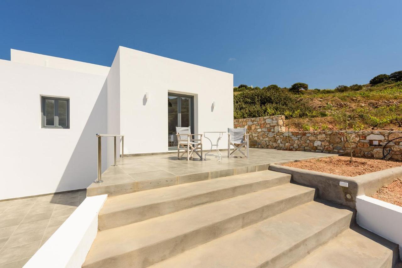 Paros Villa Blue Senses Alikí エクステリア 写真