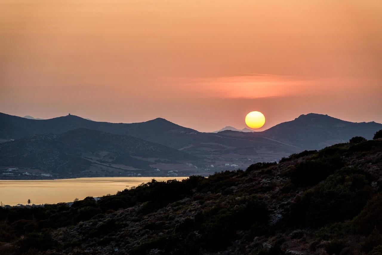 Paros Villa Blue Senses Alikí エクステリア 写真